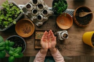 Garden Ideas on a Small Budget